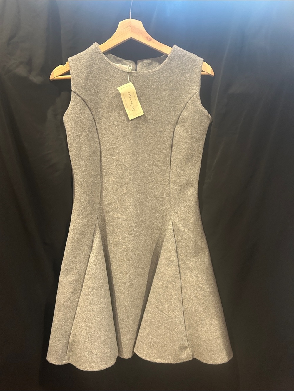 NWT Trish Scully Child Platinum Collection fit-and-flare dress, size 12